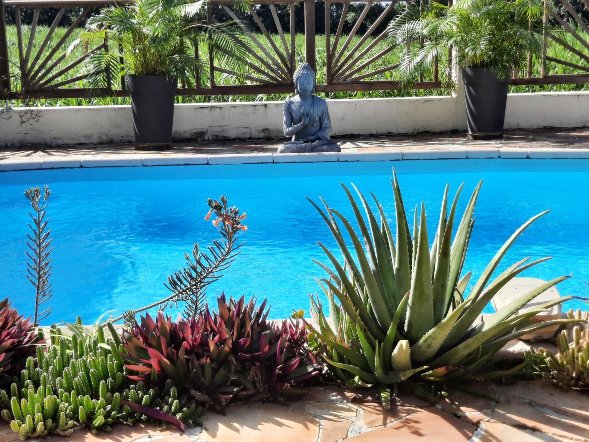 Joli Appartement, Piscine, Jacuzzi Sainte-Suzanne Dış mekan fotoğraf
